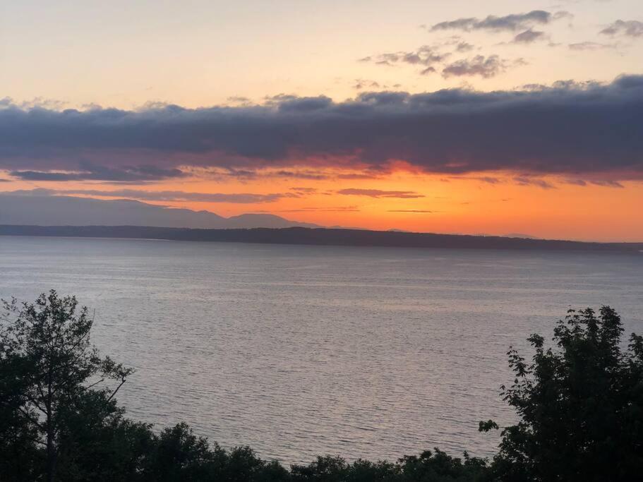 1-Bedroom Seaview Guesthouse On Seattle Luxury Estate With Views Of Olympic Mountains Esterno foto