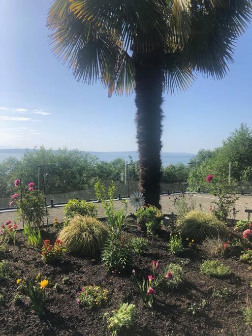 1-Bedroom Seaview Guesthouse On Seattle Luxury Estate With Views Of Olympic Mountains Esterno foto